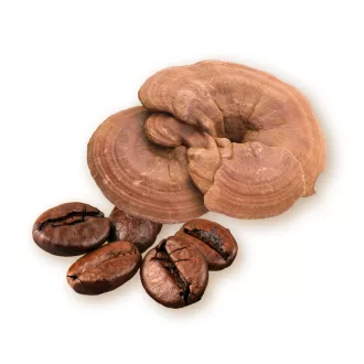 Caleido Arabica- und Ganoderma-Kaffee 100 g Produktbild
