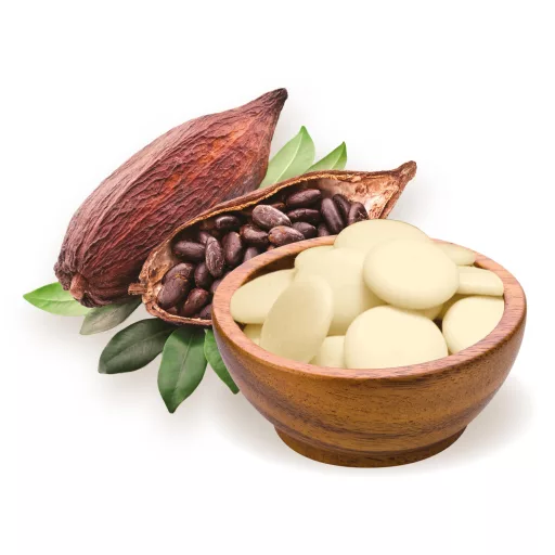 BioMenü Bio Kakaobutter Taler peruanisch 250 g Rohmaterial