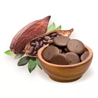 BioMenü Bio Kakaomasse Taler peruanisch 250 g Produktbild