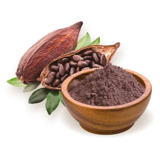 BioMenü Bio Kakaopulver peruanisch 250 g Produktbild
