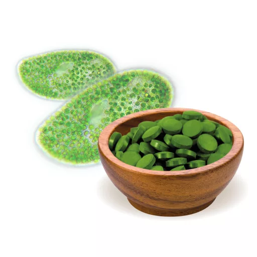 BioMenü Bio Chlorella-Algen-Tabletten 125 g Rohmaterial