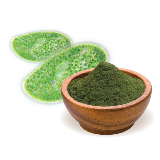 BioMenü Bio Chlorella-Algenpulver 125 g Rohmaterial