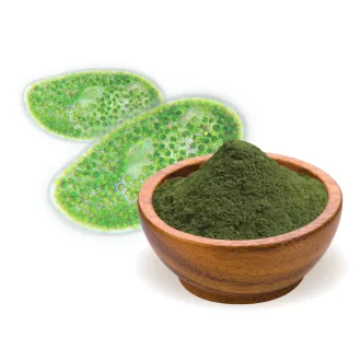 BioMenü Bio Chlorella-Algenpulver 250 g Produktbild