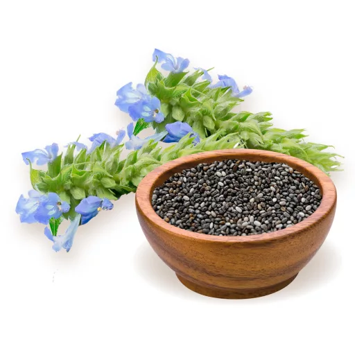 BioMenü Bio Chia-Samen 250 g Rohmaterial
