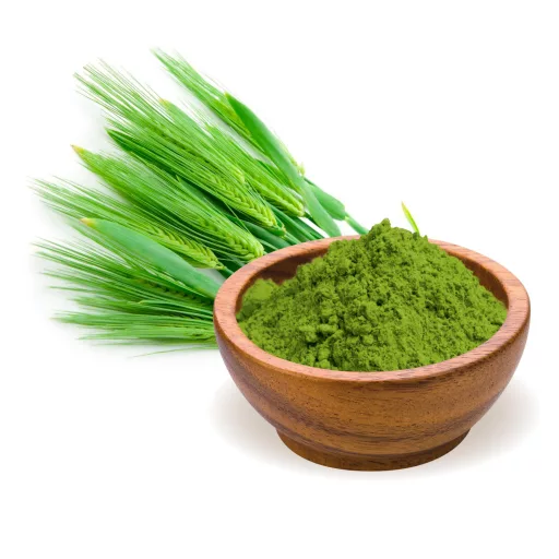 BioMenü Bio Gerstengras-Pulver 250 g Rohmaterial