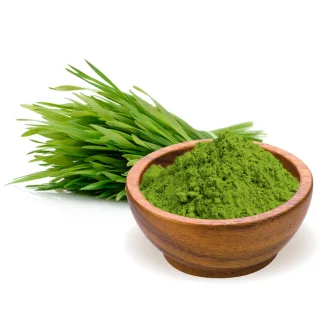 BioMenü Bio Weizengras-Pulver 250 g Produktbild