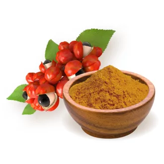 BioMenü Bio Guarana-Pulver 60 g Produktbild