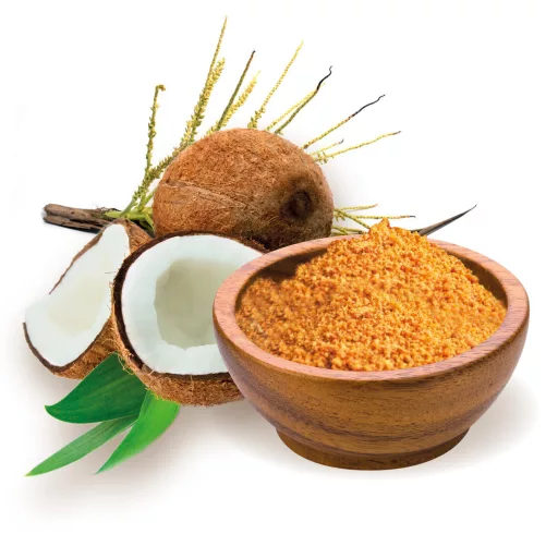 BioMenü Bio Kokoszucker 250 g Rohmaterial