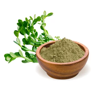 BioMenü Bio Brahmi-Pulver 125 g Produktbild