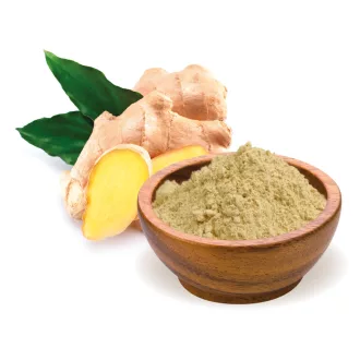 BioMenü Bio Ingwer gemahlen 60 g Produktbild