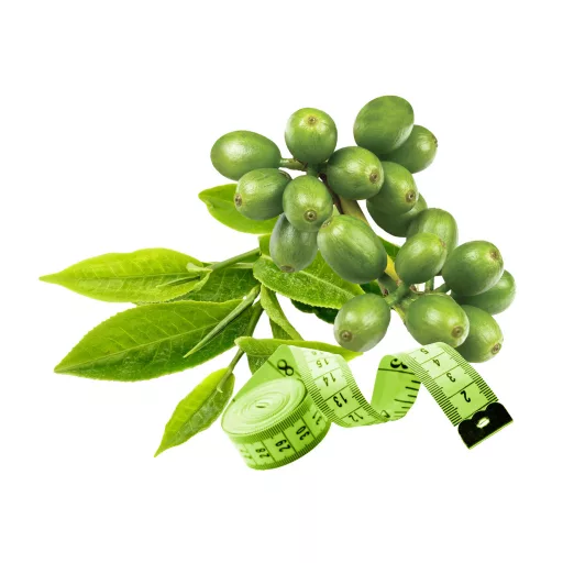 Caleido GreenSlim Grüner Kaffee und Grüner Tee Kapseln 60 Stk Rohmaterial