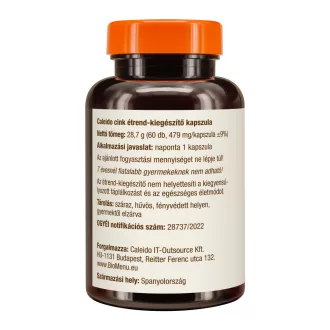 Caleido ZINK Kapseln 60 Stk Produktbild