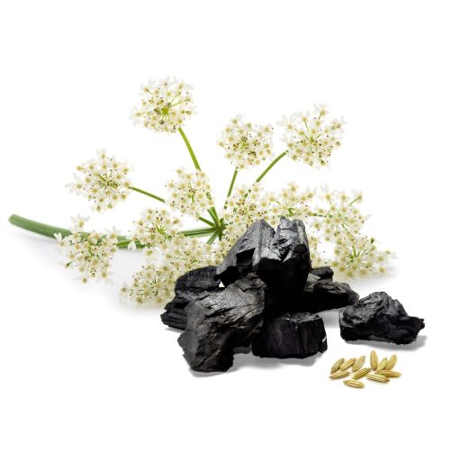 Caleido Anis + Aktivkohle Kapseln 60 Stk Rohmaterial