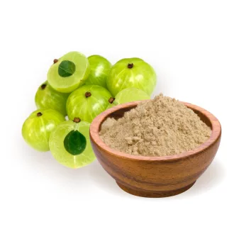 BioMenü Bio Amla-Pulver 125 g Produktbild