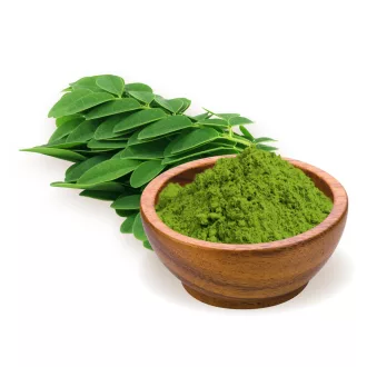 BioMenü Bio Moringa-Pulver 125 g Produktbild