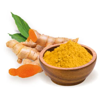 BioMenü Bio Kurkuma gemahlen 60 g Produktbild