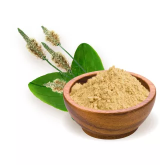 BioMenü Bio Wegerich-Kernschalenmehl 125 g Produktbild