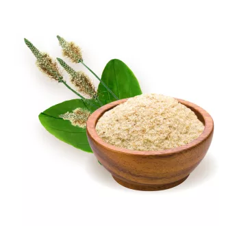 BioMenü Bio Wegerich-Kernschale 125 g Produktbild