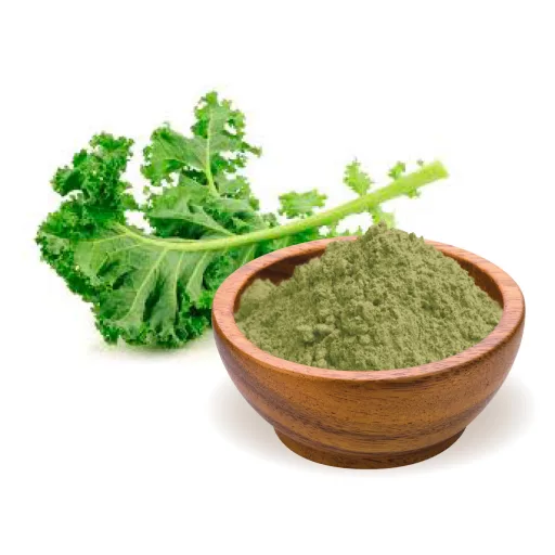 BioMenü Bio Grünkohlpulver 125 g Rohmaterial