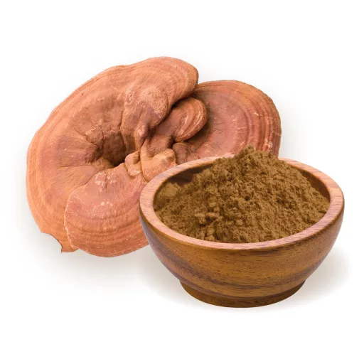 BioMenü Bio Ganoderma-Pilzpulver 100 g Rohmaterial