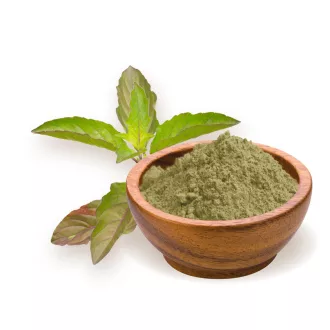BioMenü BIO TULSI por 125 g KÖZEL A LEJÁRAT DÁTUMÁHOZ