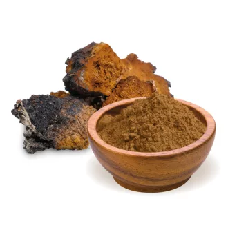 BioMenü Bio Chaga-Pilzpulver 100 g Produktbild