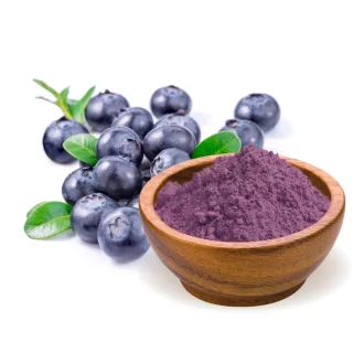 BioMenü Bio Heidelbeerpulver 60 g Produktbild