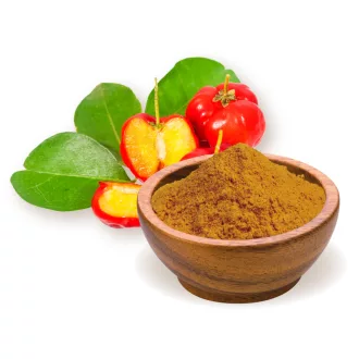 BioMenü Bio Acerola-Beeren-Pulver 60 g Produktbild