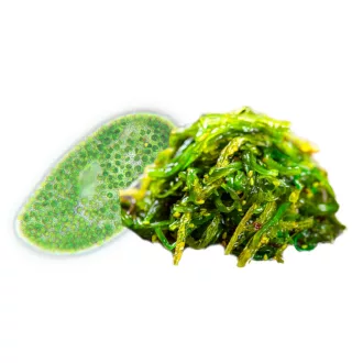 BioMenü Bio Chlorella- und Spirulina-Algen-Kapseln 60 Stk Produktbild