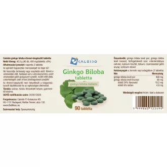 Caleido Ginkgo Biloba Tabletten 90 Stk Produktbild