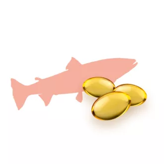 Caleido Lachsöl + Borretschöl Omega 3-6-9 Gelkapseln 60 Stk Produktbild