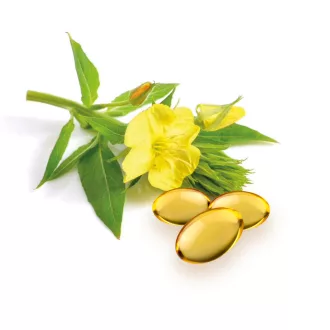 Caleido Nachtkerzenöl + Vitamin E Gelkapseln 60 Stk Produktbild