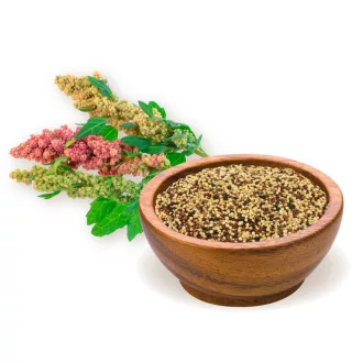 BioMenü Bio Quinoa Trikolore Samenmischung 250 g Produktbild