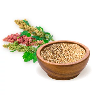 BioMenü Bio Quinoa-Samen weiß 250 g Produktbild
