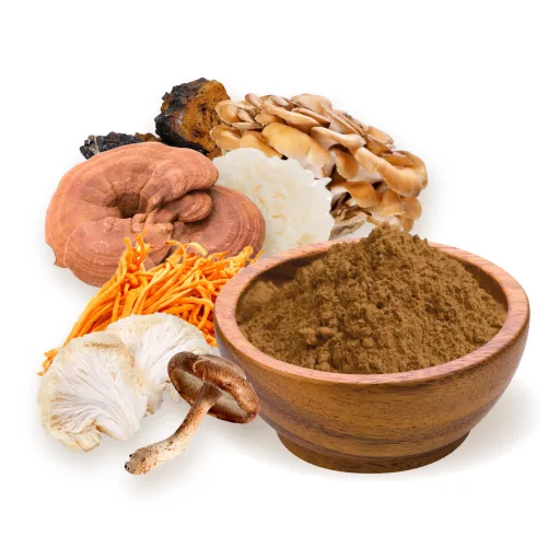 BioMenü Bio 7-PILZE mischung pulver 100 g Rohmaterial
