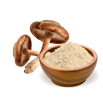 BioMenü Bio Shiitake-Pilzpulver 100 g Produktbild