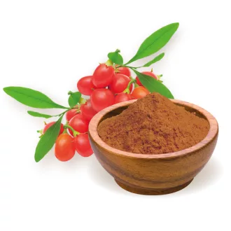 BioMenü Bio Goji-Beerenpulver 60 g Produktbild