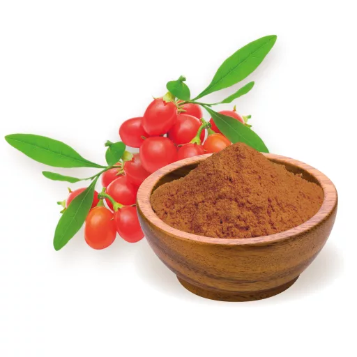 BioMenü Bio Goji-Beerenpulver 60 g Rohmaterial