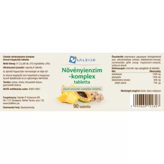 Caleido Pflanzenenzym-Komplex Tabletten 90 Stk Produktbild