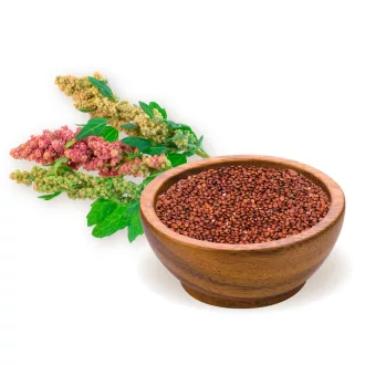 BioMenü Bio Quinoa-Samen rot 250 g Produktbild