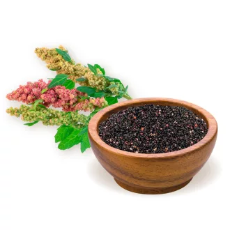 BioMenü Bio Quinoa-Samen schwarz 250 g Produktbild
