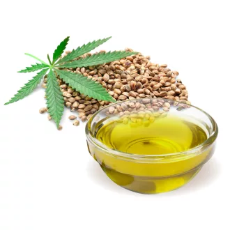 BioMenü Bio Hanfsamenöl 100 ml Produktbild