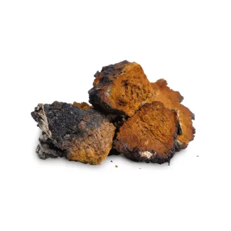 BioMenü Bio Chaga-Pilzkapseln 60 Stk Produktbild