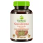 BioMenü Bio Ganoderma-Pilzkapseln 60 Stk Produktbild