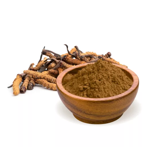 BioMenü Bio Cordyceps sinensis-Pilzpulver 100 g Rohmaterial