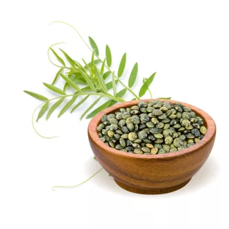 BioMenü Bio grüne Linsen 500 g Produktbild