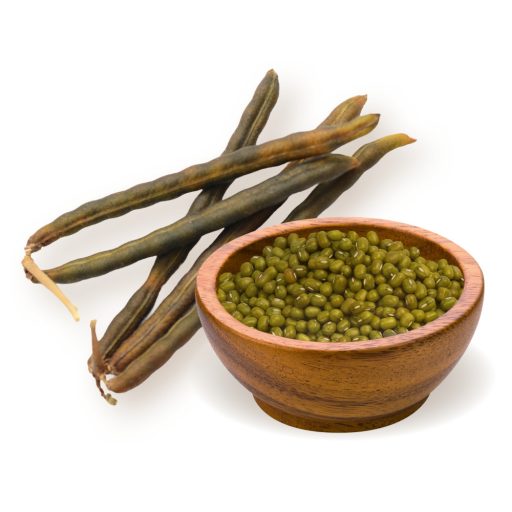 BioMenü Bio Mungbohnen 500 g Rohmaterial