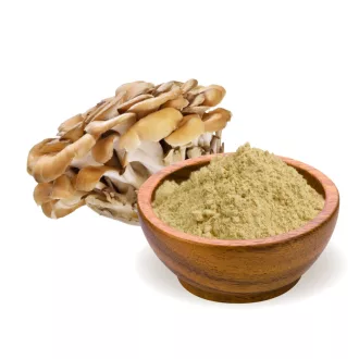 BioMenü Bio Maitake Kapseln 60 Stk Produktbild