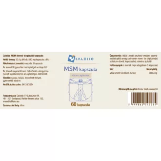 Caleido MSM Kapseln 60 Stk Produktbild
