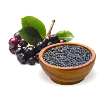 BioMenü Bio Aronia 125 g Produktbild
